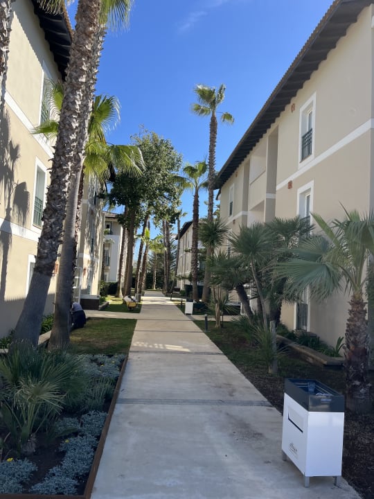 Gartenanlage allsun Hotel Eden Playa