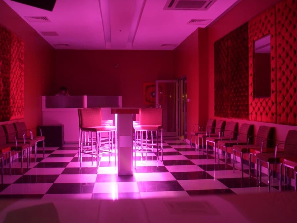 Die Disco Calimera Hane Garden