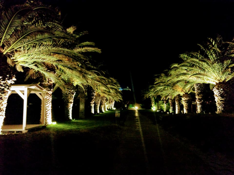 Gartenanlage Caravia Beach Hotel