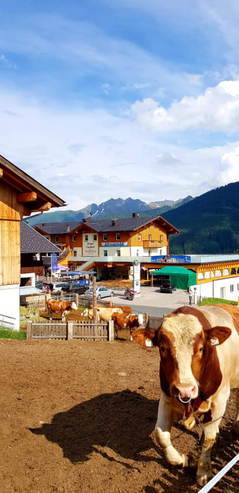 Außenansicht Andreas Hotel-Gasthof