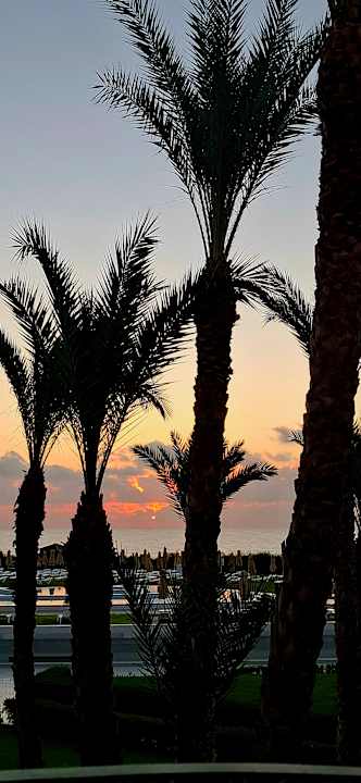 Ausblick Iberostar Waves Averroes