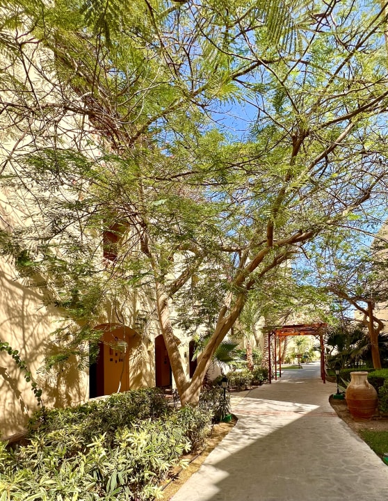 Gartenanlage Steigenberger Coraya Beach - Adults only