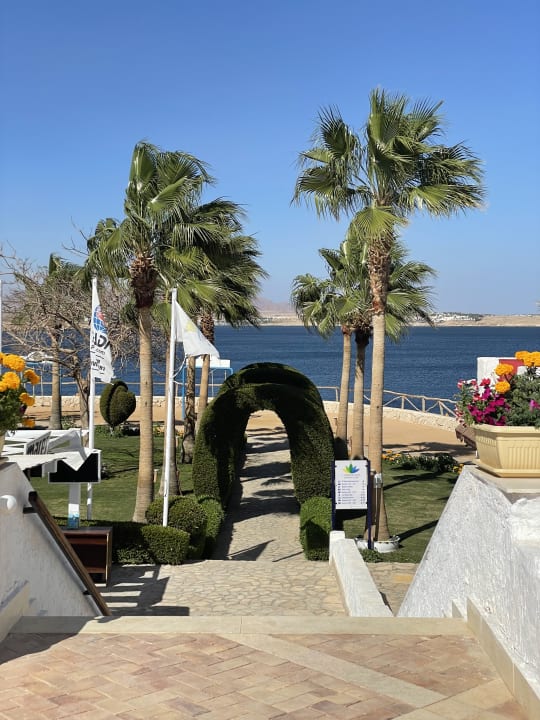 Ausblick Sharm Club Beach Resort