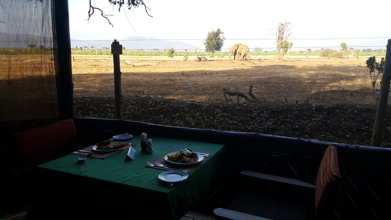 Gastro Sentrim Tsavo Lodge