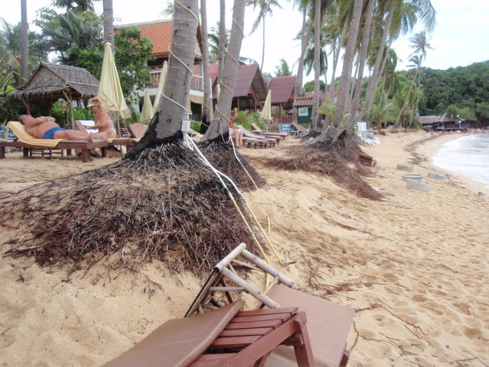 Frechheit Pinnacle Samui Resort