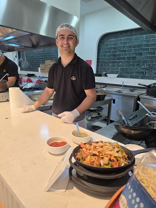 Gastro Seashell Vega