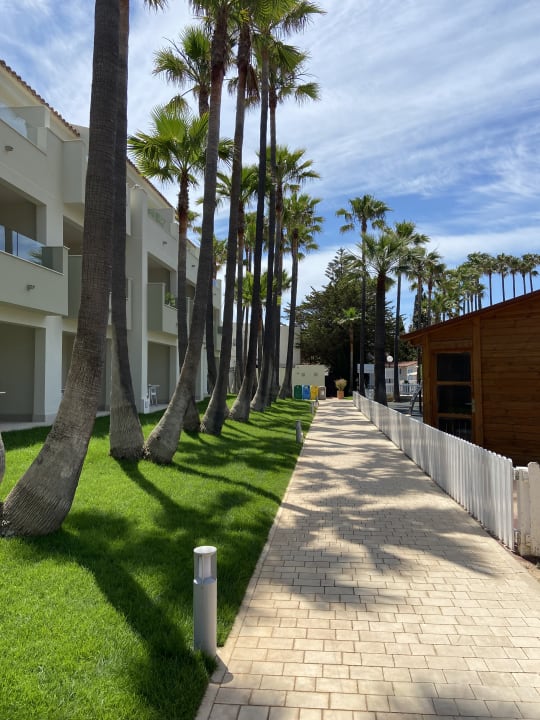 Sonstiges Hipotels Mediterraneo Club