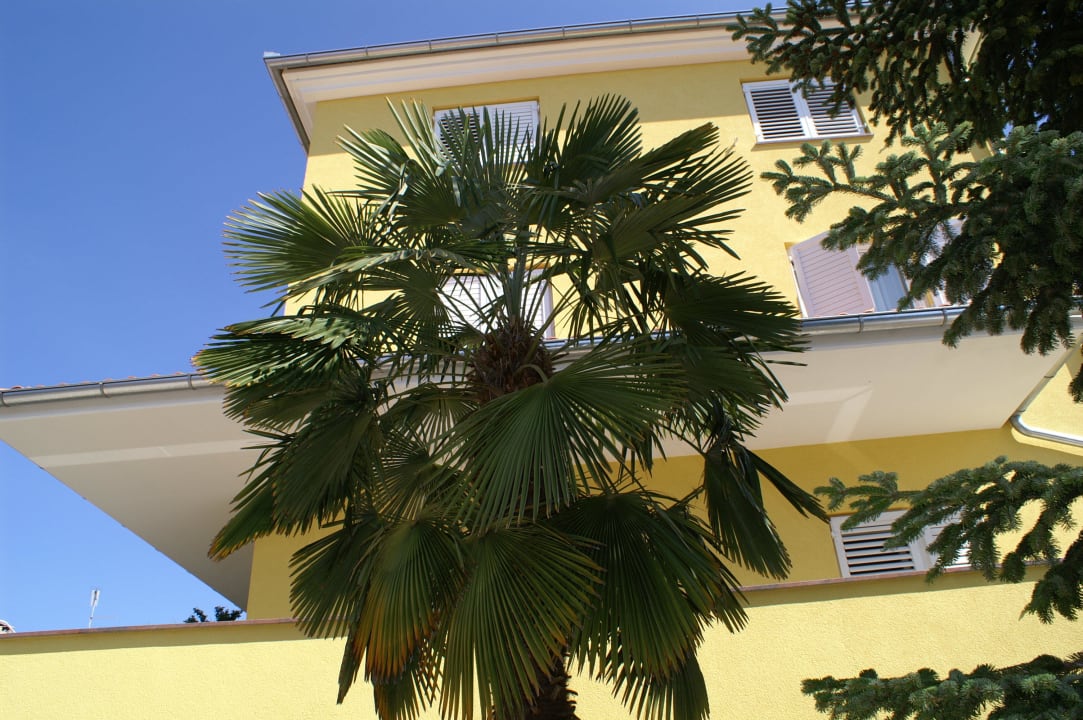 Davorka Apartments Davorka