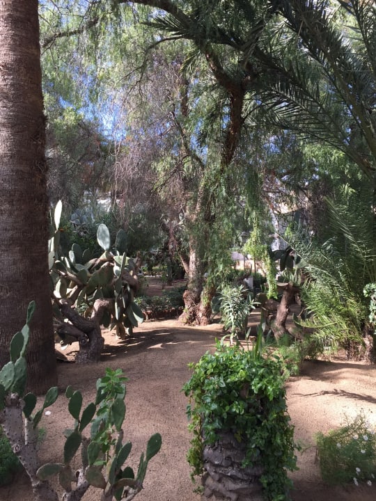 Gartenanlage Marhaba Royal Salem