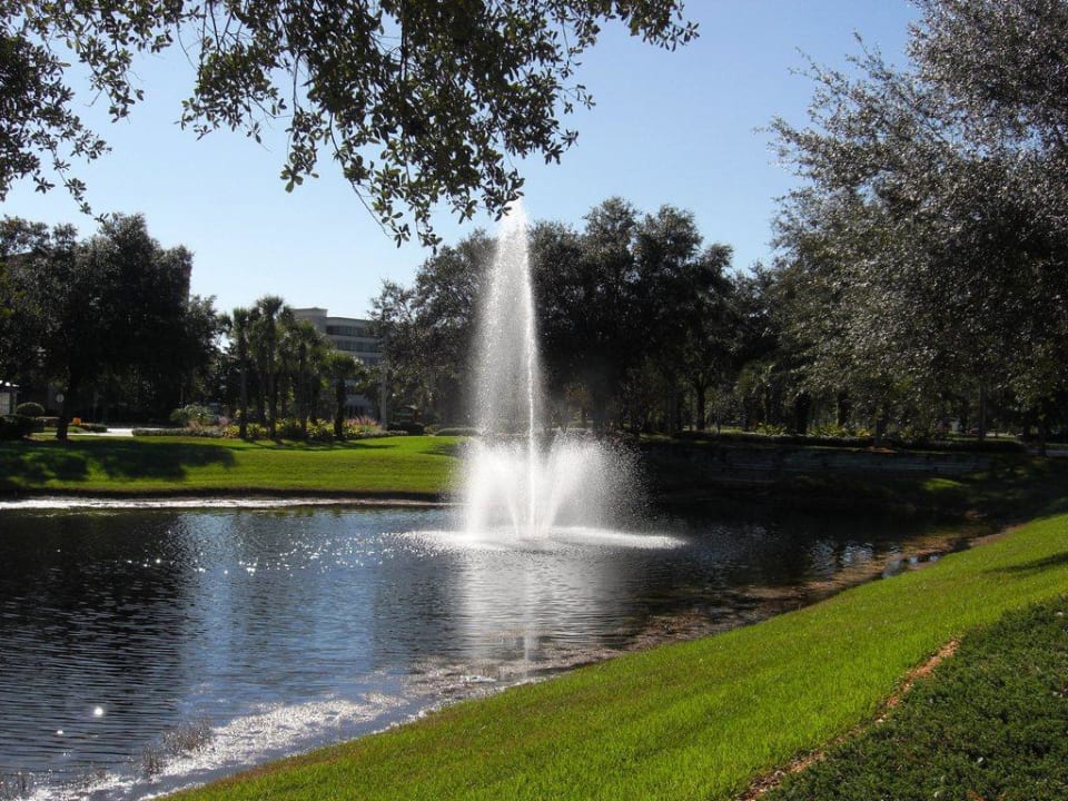 Außenanlage gegenüber Hoteleingang Hotel Courtyard Orlando International Drive / Convention Center