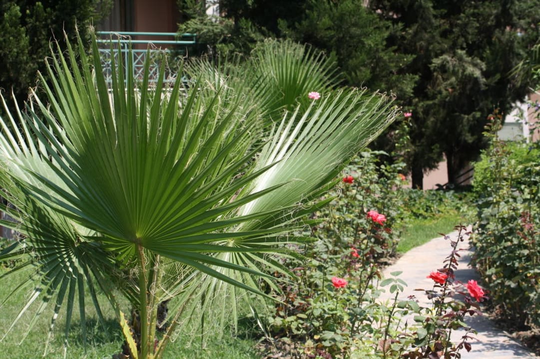 Ogród Greenwood Kemer Resort