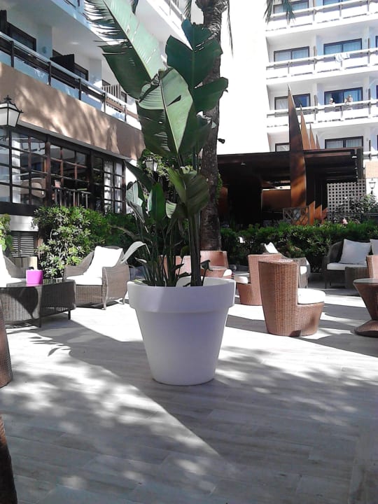 Premium Garten azuLine Hotel Bergantin