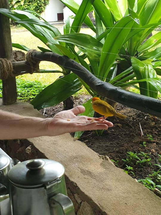 Sonstiges Bahari Beach Hotel