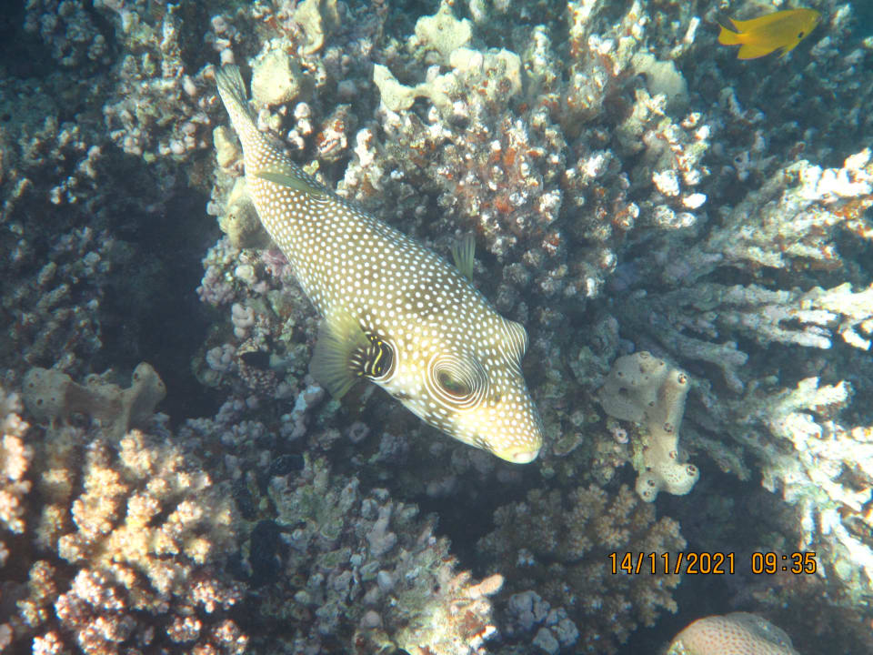 Sport & Freizeit Cleopatra Luxury Resort Makadi Bay