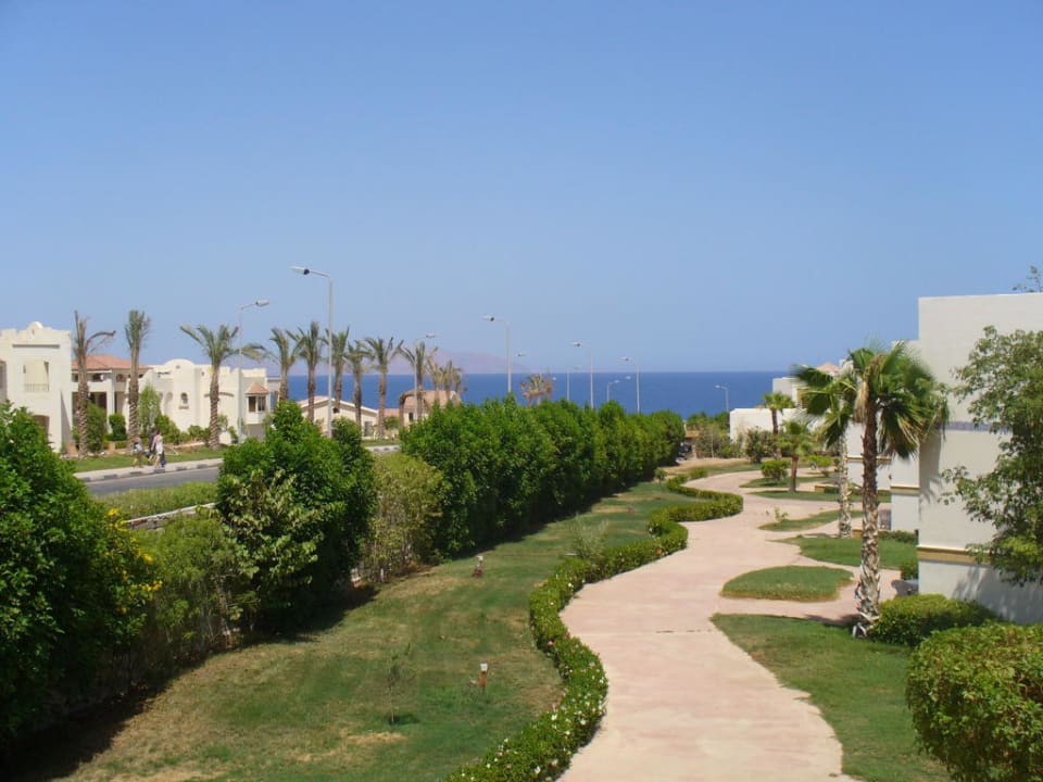 Widok z pokoju Amphoras Blu