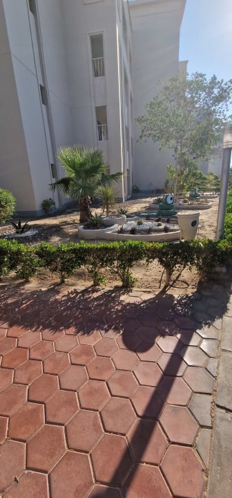 Gartenanlage Jaz Soma Beach