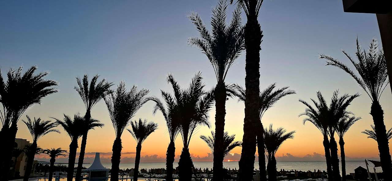 Ausblick Iberostar Waves Averroes