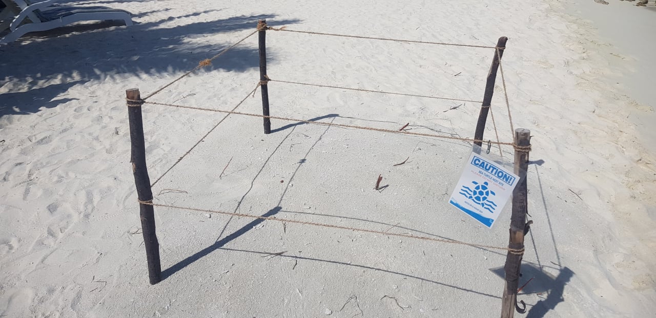 Strand Summer Island Maldives