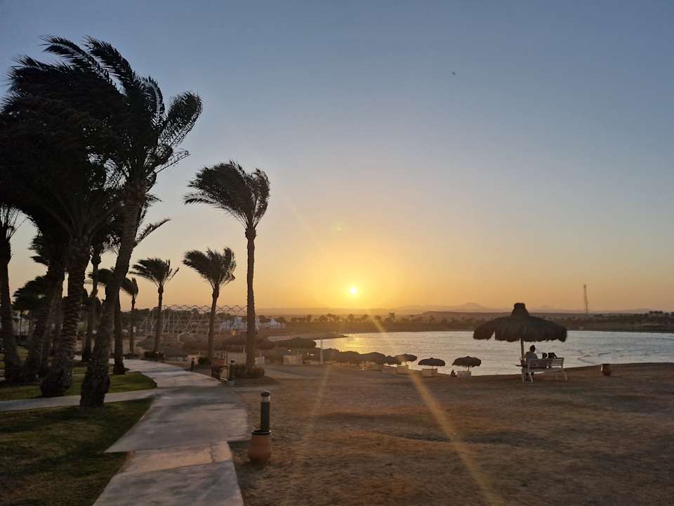 Ausblick Steigenberger Resort Alaya Marsa Alam - Red Sea - Adults only