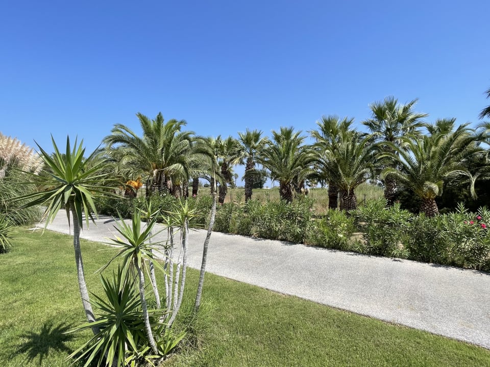 Gartenanlage Caravia Beach Hotel