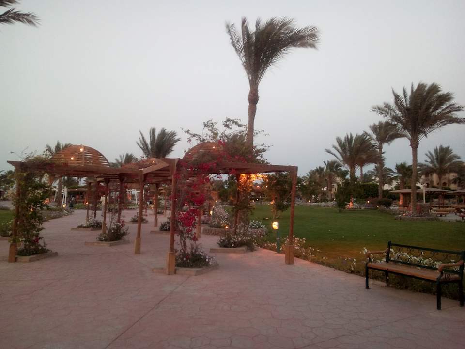 Gartenanlage Desert Rose