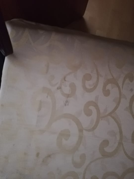 Zimmer Apartment Hockmannshof