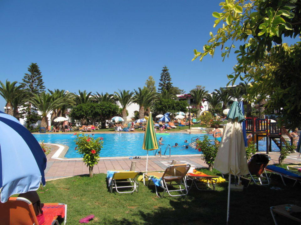 Blick auf den Pool TUI SUNEO Chrissi Amoudia