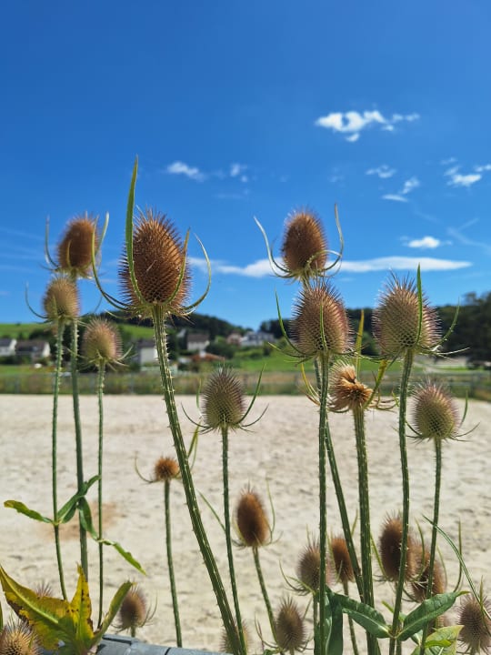 Außenansicht Ferienhof Feinen
