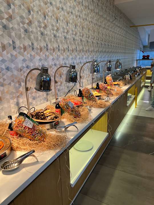 Gastro Maxeria Blue Didyma