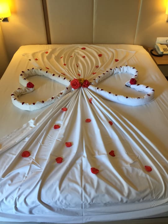 Zimmer Hotel Botanik Platinum