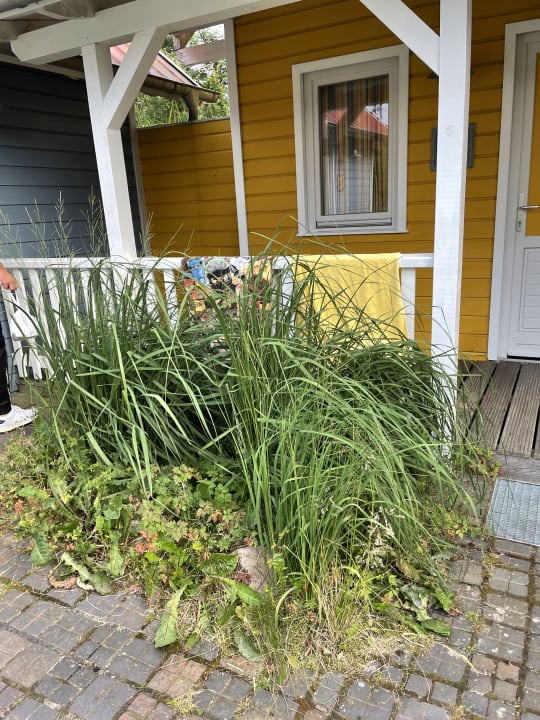 Außenansicht Heide Park Holiday Camp