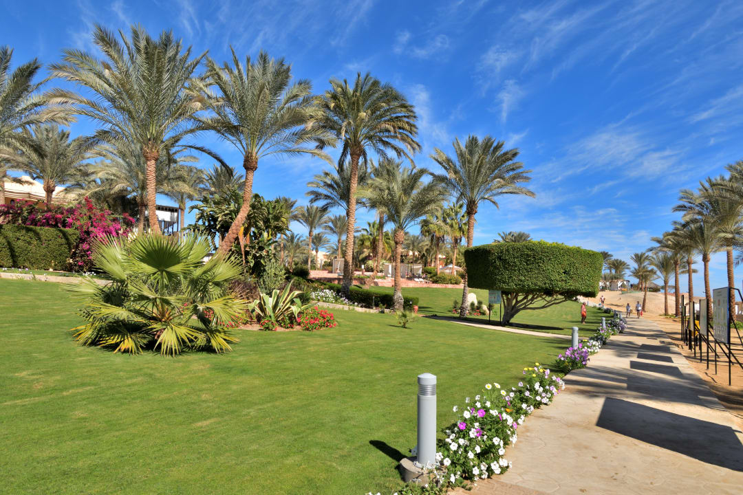 Gartenanlage Steigenberger Coraya Beach - Adults only