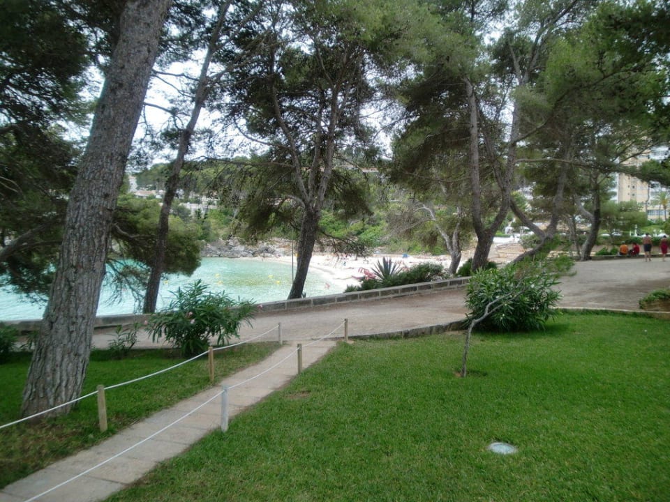 Weg zur Badebucht Iberostar Waves Pinos Park