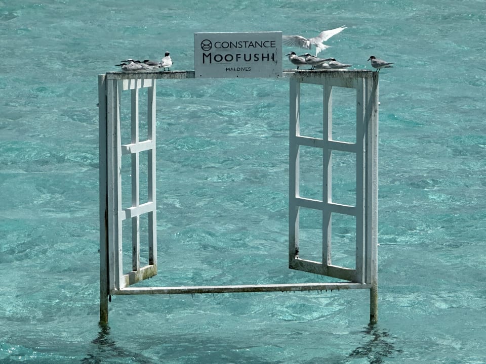 Strand Constance Moofushi Maldives
