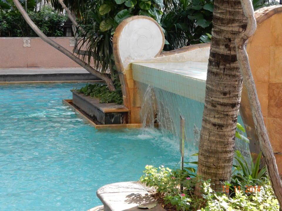 Dachterrasse - Pool Hotel Century Park