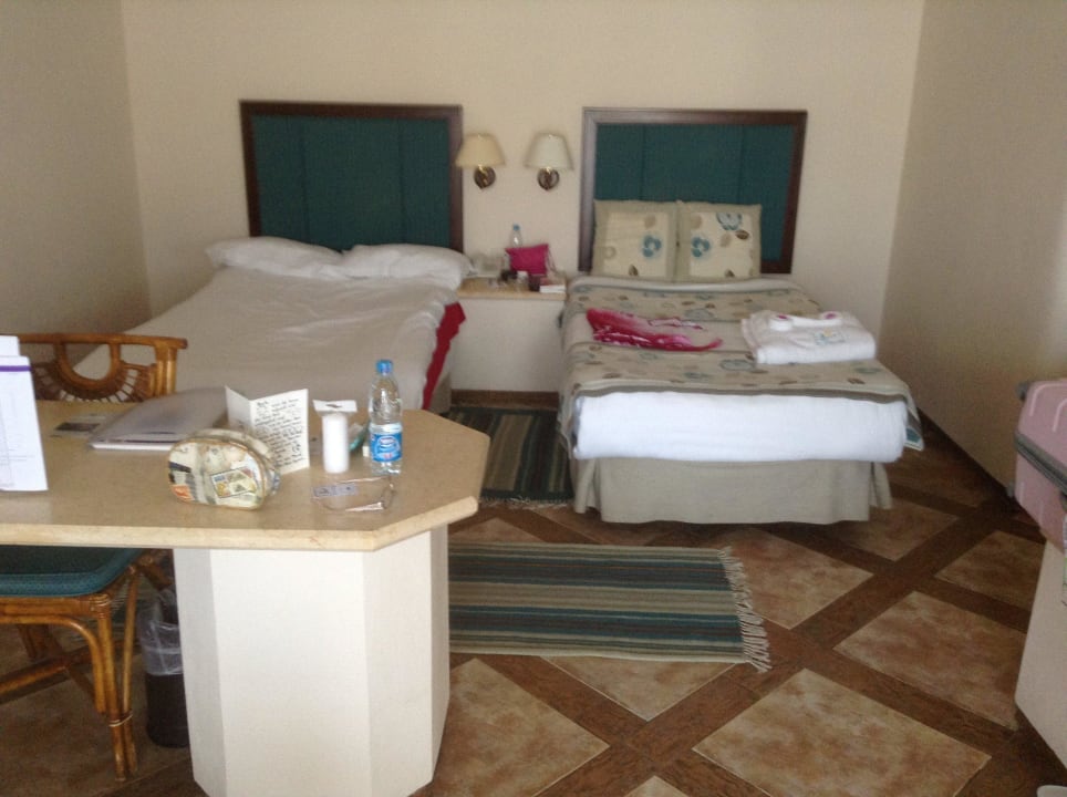 3023direkt am palm pool Pickalbatros Citadel Resort