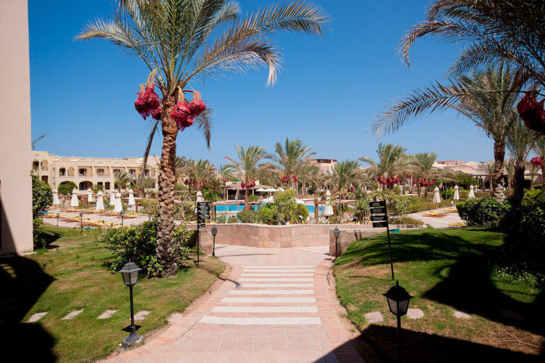 Poolanlage von den Hotelzimmer aus Hotel JAZ Makadi Star & Spa