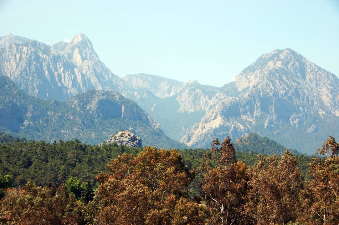 Вид из номера на горы Armas Gül Beach