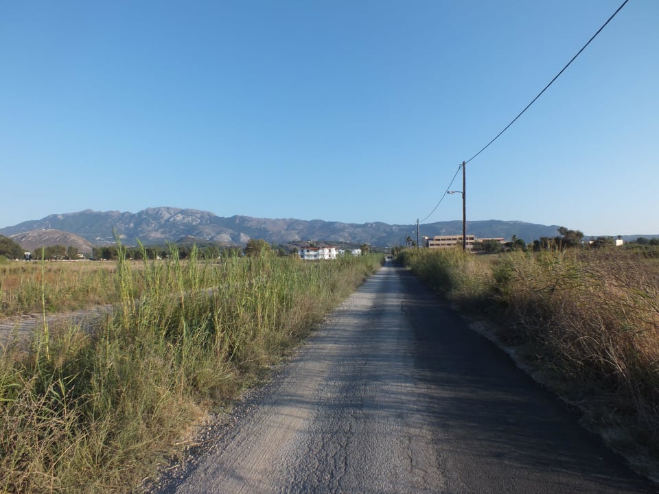 Okolica Hotel Roselands