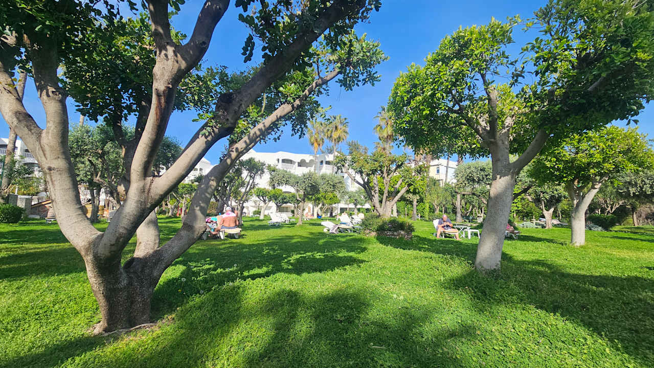 Gartenanlage Hotel Defne Ana
