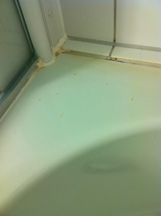 Ohne Worte ACHAT Hotel Heppenheim