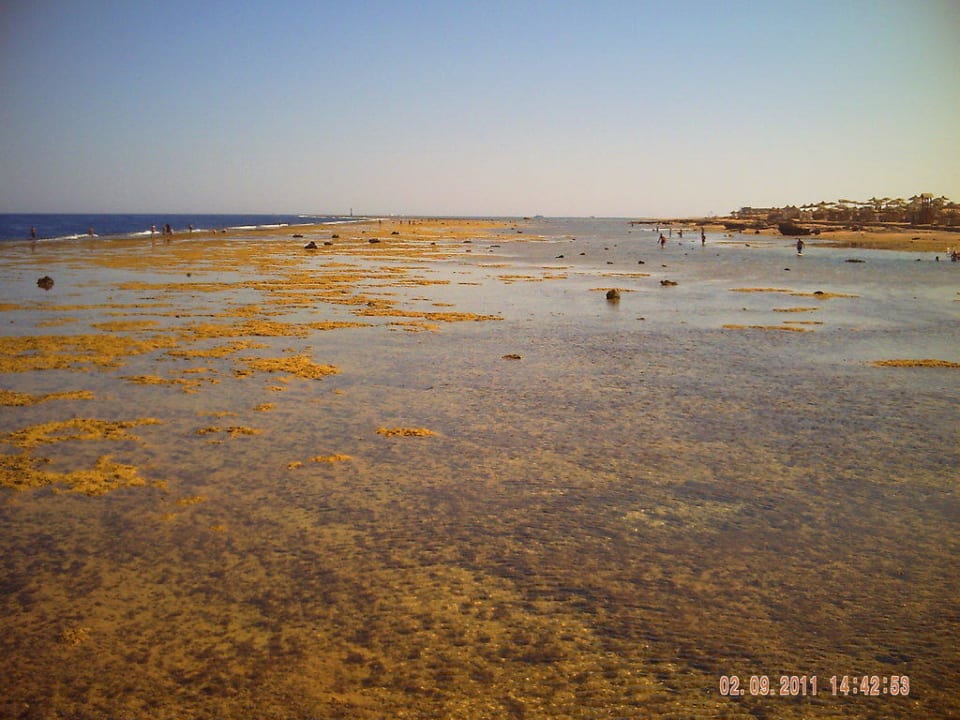 Badeparadies bei Ebbe Charmillion Sea Life Resort