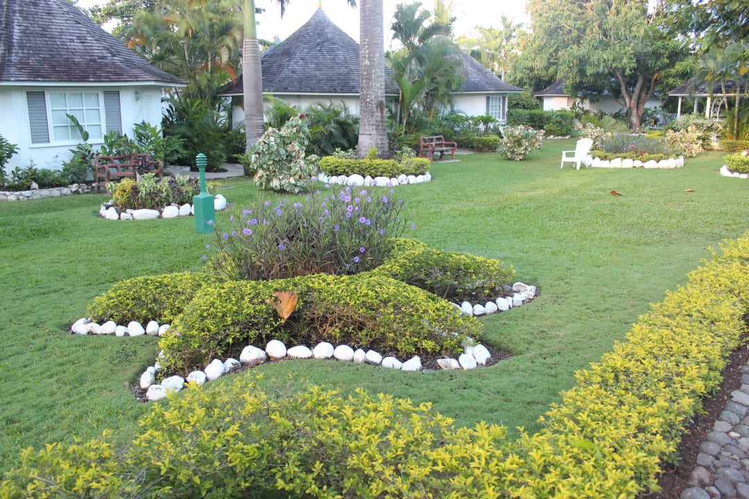 "Seestern" im Garten Grand Muthu Club Caribbean Runaway Bay