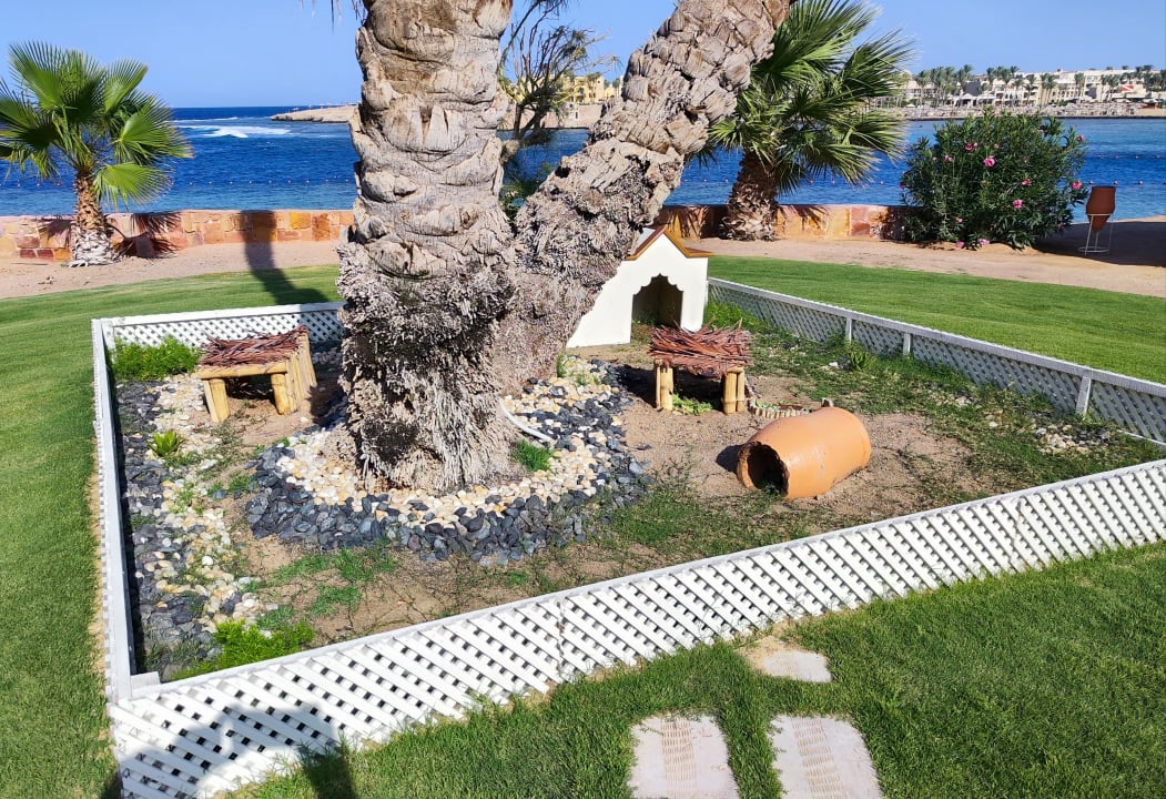 Gartenanlage Steigenberger Coraya Beach - Adults only