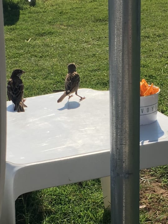 Sonstiges Voyage Belek Golf & Spa