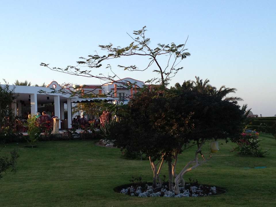 Ausgefallend Vegetation Fantazia Resort Marsa Alam