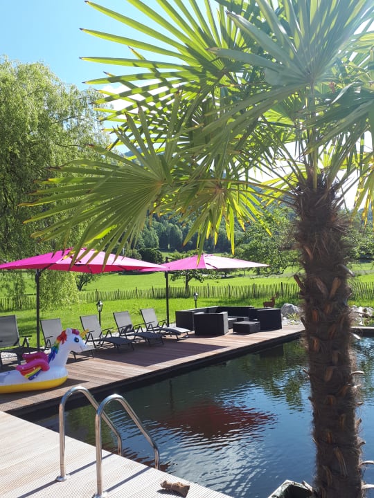 Pool Gästehaus Gutfelder Hof