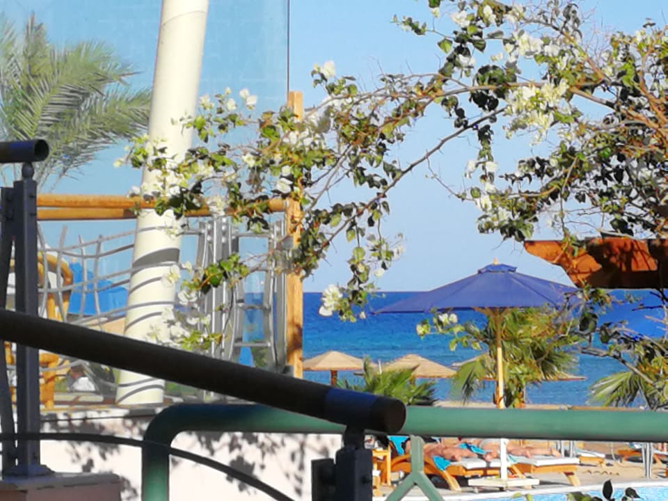 Gartenanlage Shams Prestige Abu Soma-Adults Only