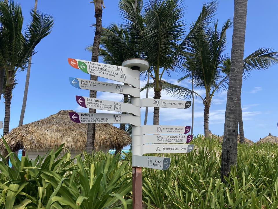 Gartenanlage Hotel Grand Palladium Palace Resort, Spa & Casino