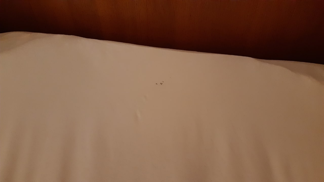 Zimmer Hotel zur Post Pirna